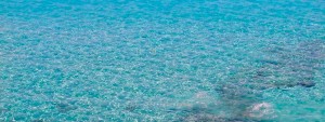 Agua Ibiza